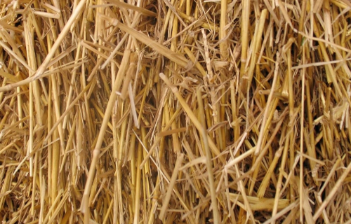 wheat straw